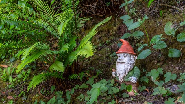 5 Viox Way, San Rafael, CA 94901