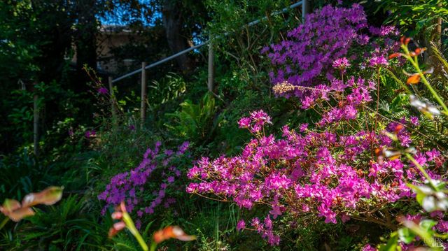 5 Viox Way, San Rafael, CA 94901