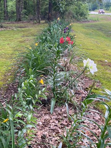 41 Addison Road, Star City, AR 71667