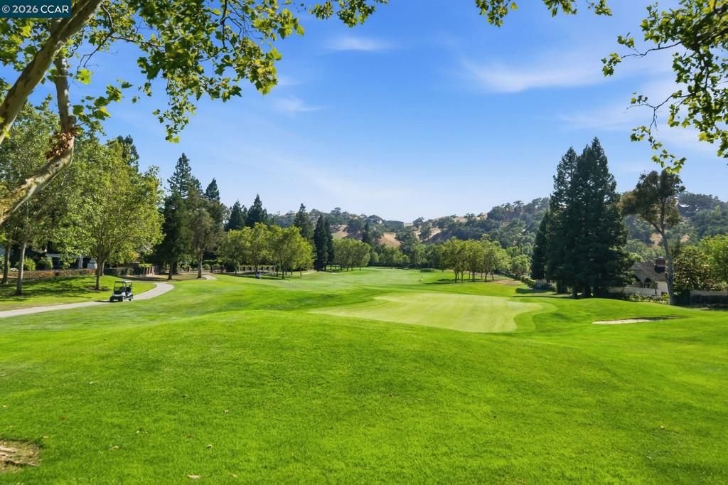 Image 48 of property listing at 700 Blue Spruce Dr, Danville, CA 94506