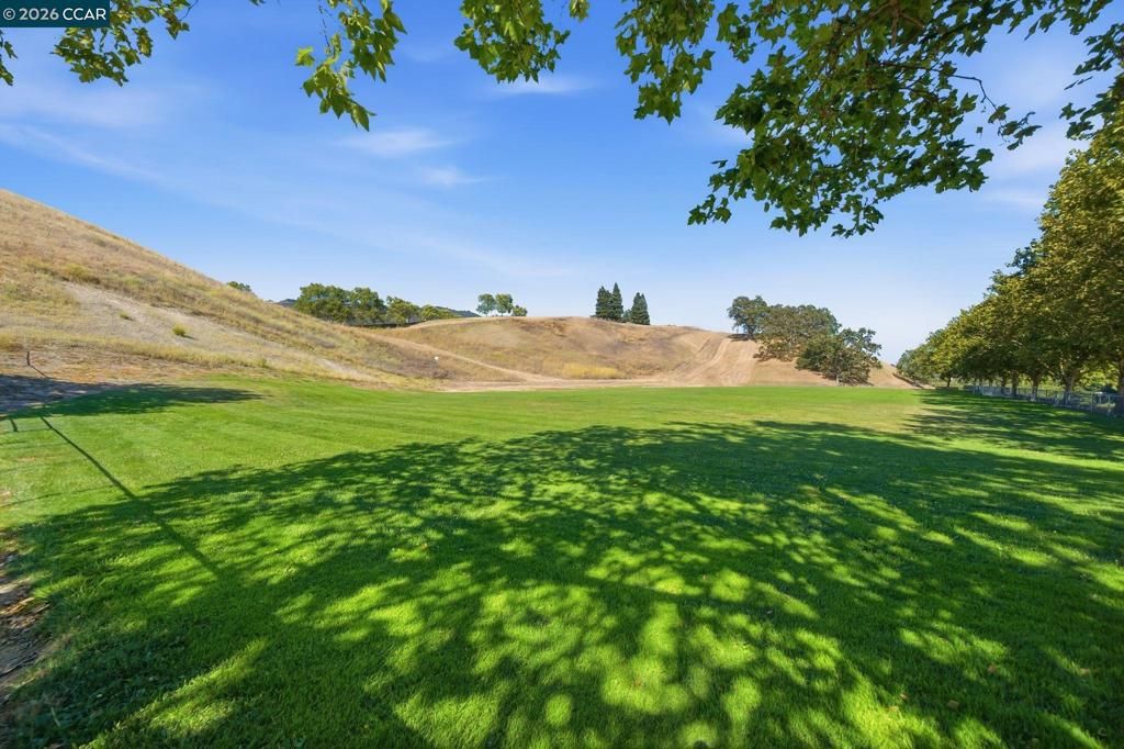 Image 51 of property listing at 700 Blue Spruce Dr, Danville, CA 94506