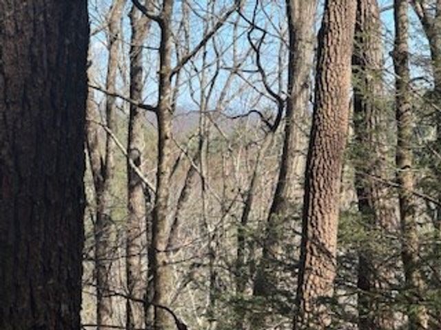 Lot 14 Butler Creek Road, Cherry Log, GA 30522