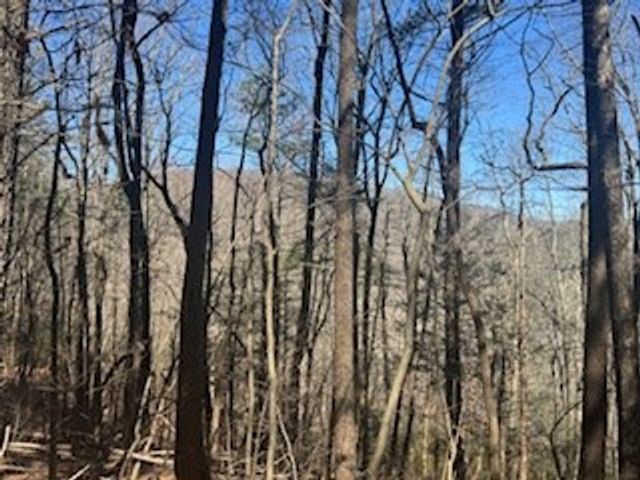 Lot 14 Butler Creek Road, Cherry Log, GA 30522