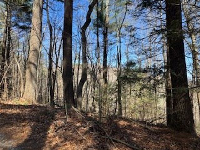 Lot 14 Butler Creek Road, Cherry Log, GA 30522