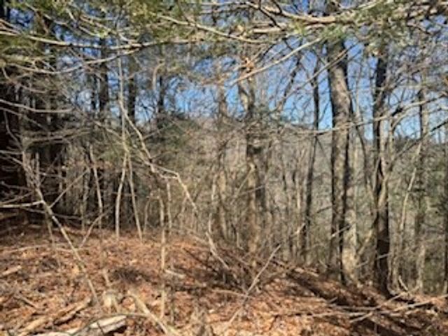 Lot 14 Butler Creek Road, Cherry Log, GA 30522