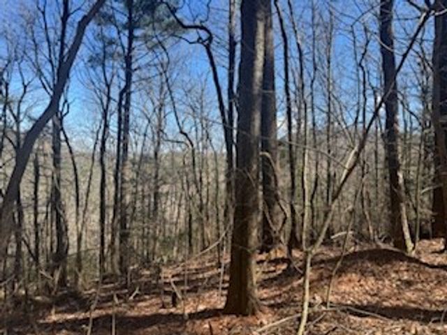 Lot 14 Butler Creek Road, Cherry Log, GA 30522