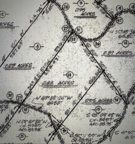 Lot 14 Butler Creek Road, Cherry Log, GA 30522