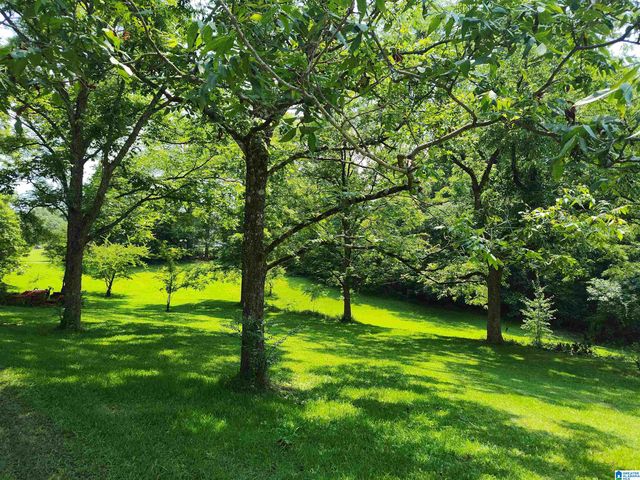 3910 CHERRY LANE, Sylacauga, AL 35150