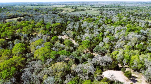 TBD County Road 138, Hallettsville, TX 77964