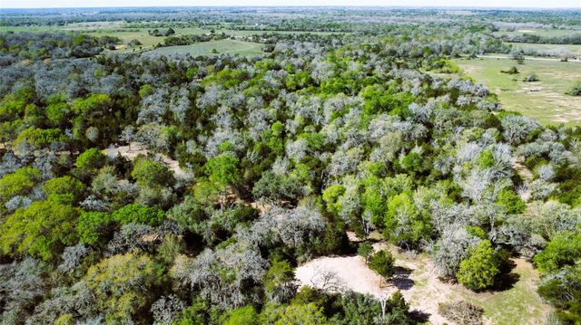 TBD County Road 138, Hallettsville, TX 77964