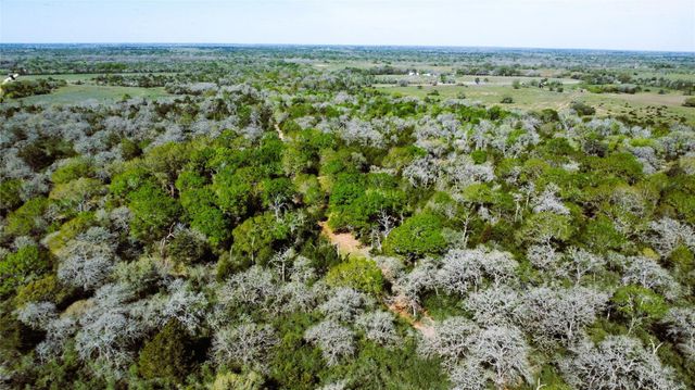 TBD County Road 138, Hallettsville, TX 77964