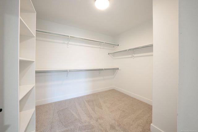 37572 Josephine Drive, Sterling Heights, MI 48312