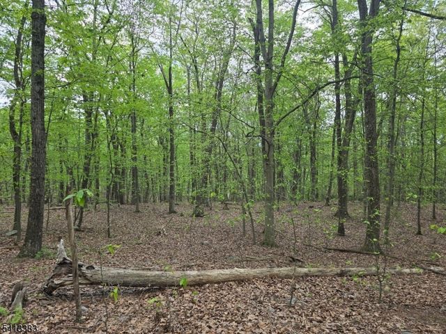 20 Wishing Well Rd, Blairstown Twp., NJ 07832
