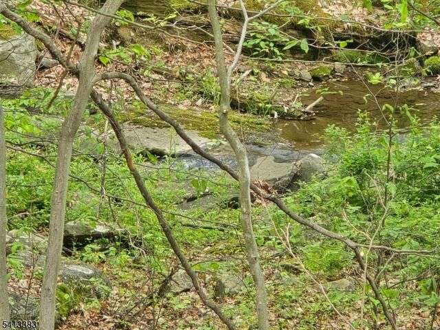 20 Wishing Well Rd, Blairstown Twp., NJ 07832