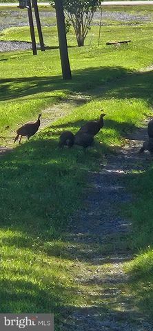 203 GORTON RD, Moshannon, PA 16859