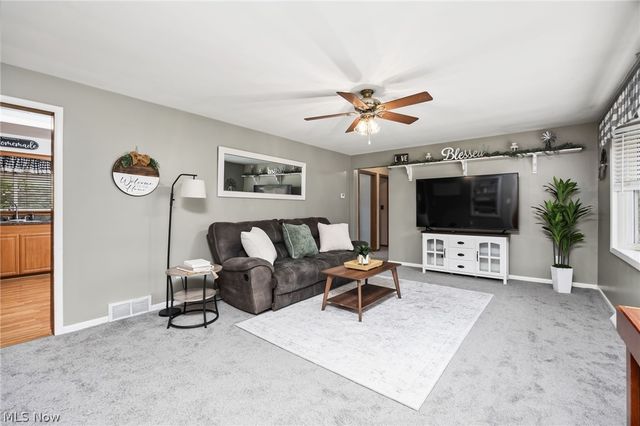 102 Young Drive, Lodi, OH 44254