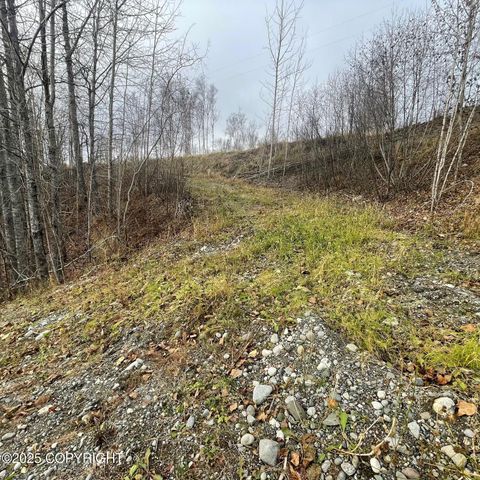 5500 W Birch Harbor Drive, & 5480,5460, Wasilla, AK 99623