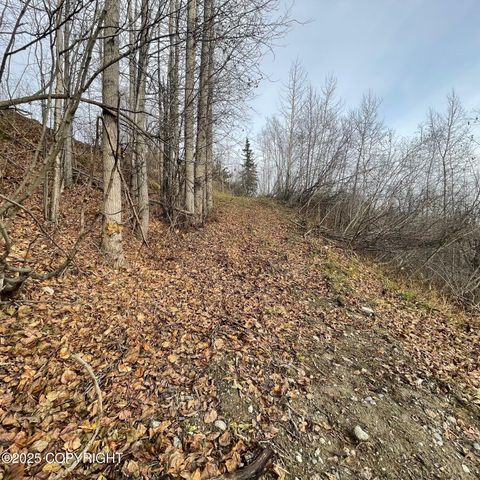 5500 W Birch Harbor Drive, & 5480,5460, Wasilla, AK 99623