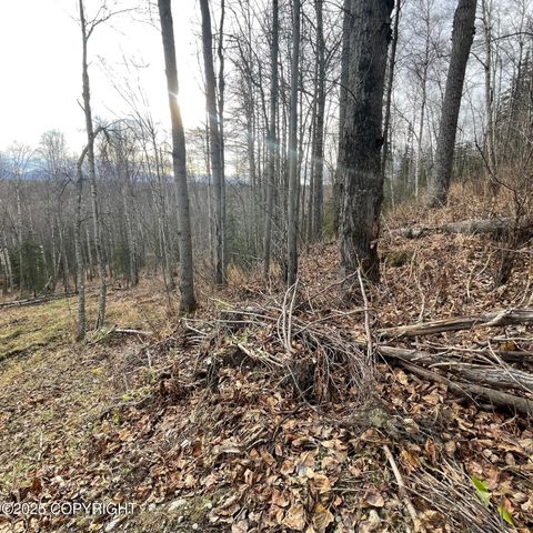 5500 W Birch Harbor Drive, & 5480,5460, Wasilla, AK 99623