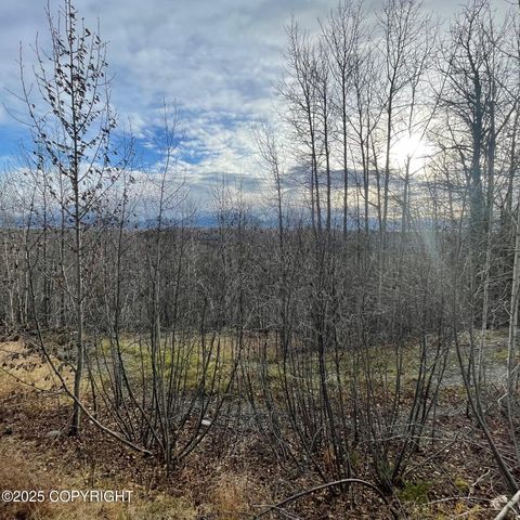 5500 W Birch Harbor Drive, & 5480,5460, Wasilla, AK 99623