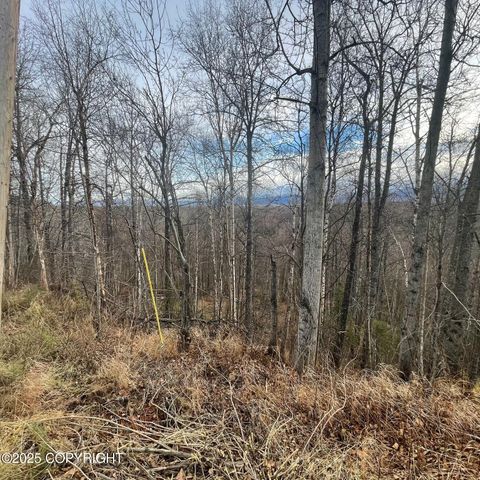 5500 W Birch Harbor Drive, & 5480,5460, Wasilla, AK 99623