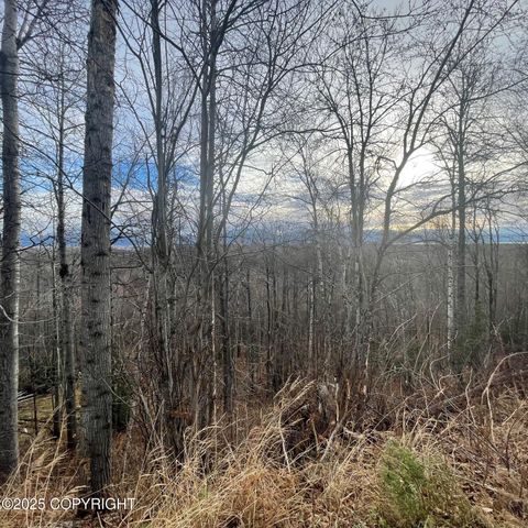 5500 W Birch Harbor Drive, & 5480,5460, Wasilla, AK 99623