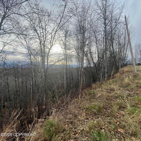 5500 W Birch Harbor Drive, & 5480,5460, Wasilla, AK 99623