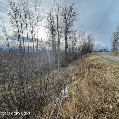5500 W Birch Harbor Drive, & 5480,5460, Wasilla, AK 99623