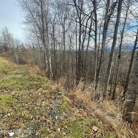 5500 W Birch Harbor Drive, & 5480,5460, Wasilla, AK 99623