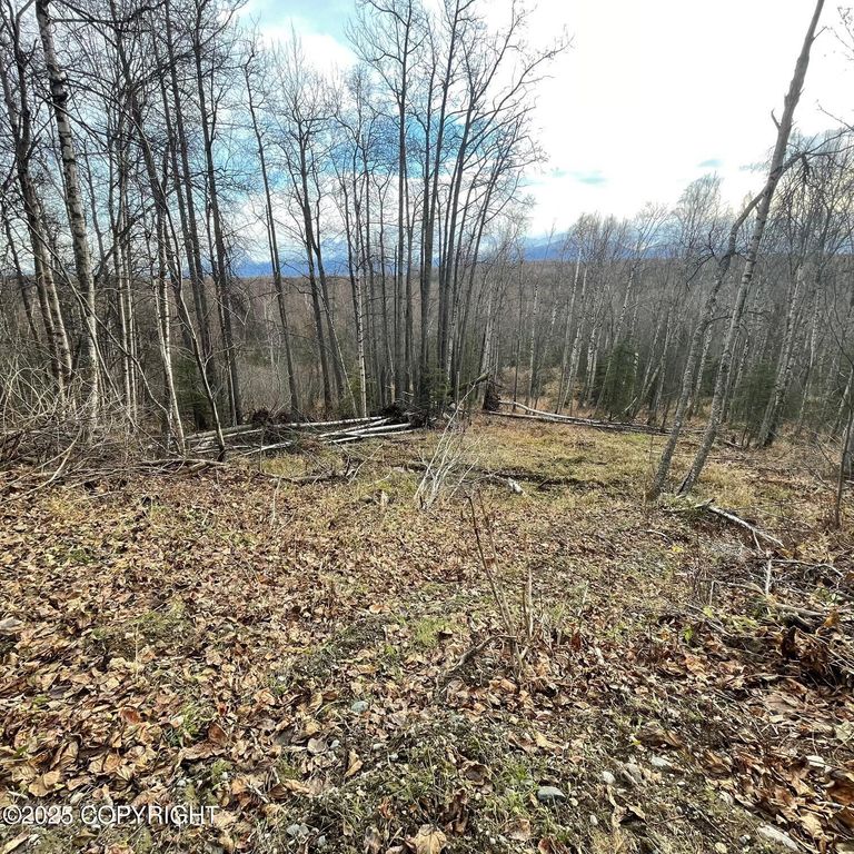 5500 W Birch Harbor Drive, & 5480,5460, Wasilla, AK 99623