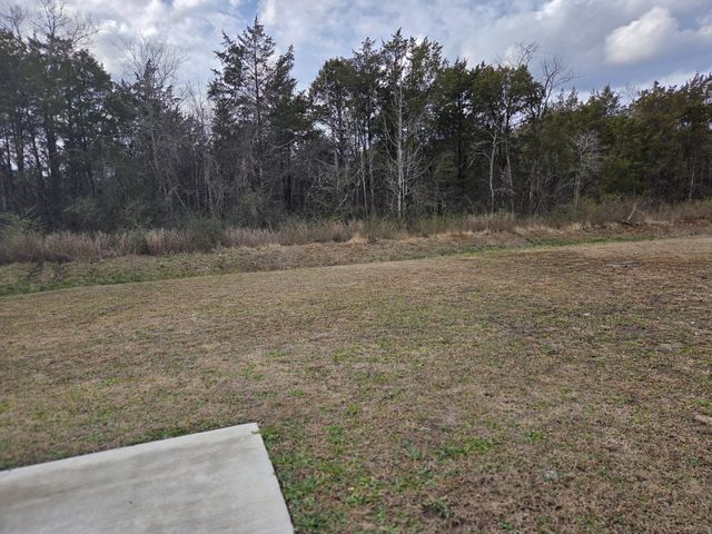 2101 Red Barn Road, Christiana, TN 37037