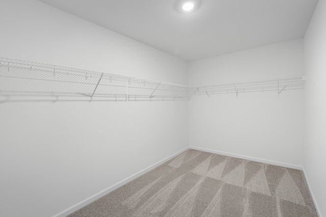 227 Idle Drive, Shelbyville, TN 37160