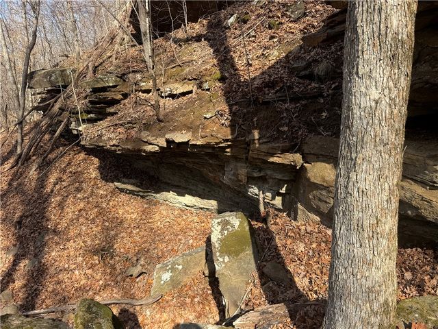 1906 Nc 8863, Jasper, AR 72641