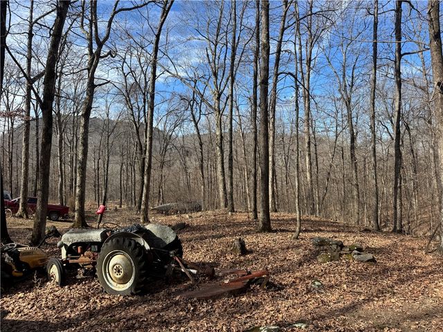 1906 Nc 8863, Jasper, AR 72641