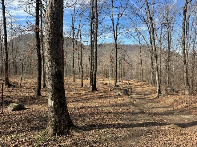 1906 Nc 8863, Jasper, AR 72641