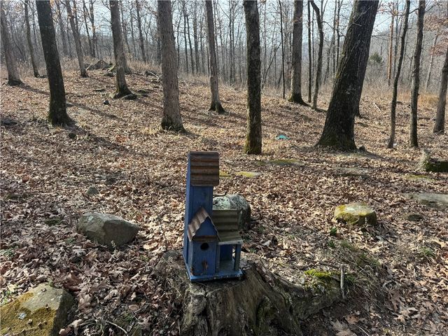 1906 Nc 8863, Jasper, AR 72641