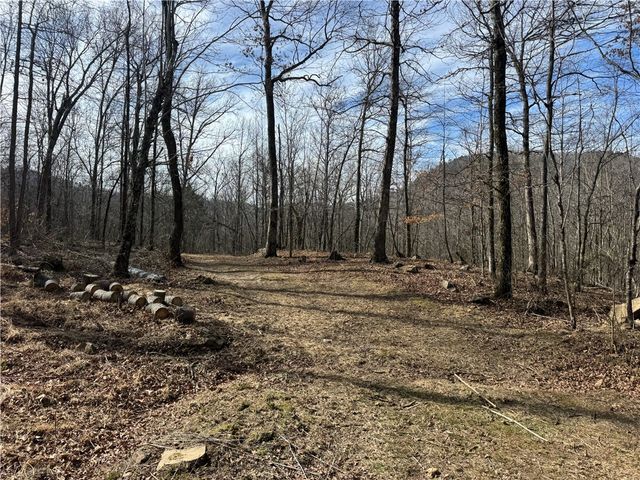 1906 Nc 8863, Jasper, AR 72641