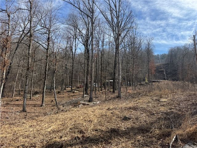 1906 Nc 8863, Jasper, AR 72641