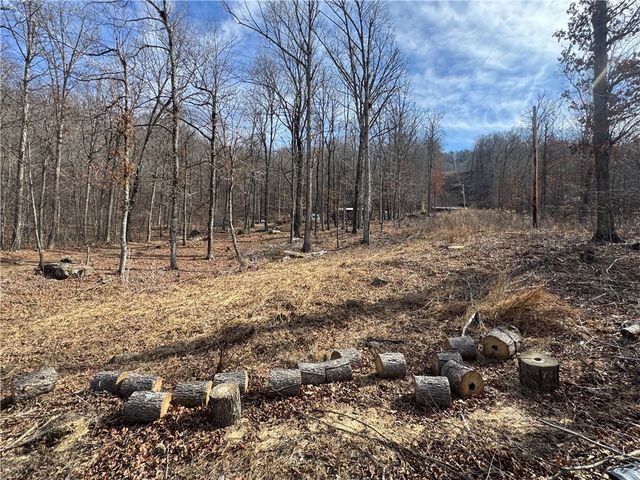 1906 Nc 8863, Jasper, AR 72641