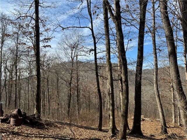 1906 Nc 8863, Jasper, AR 72641