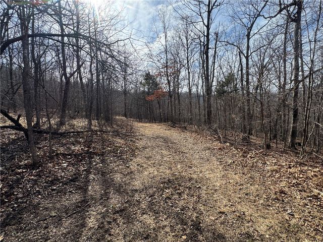 1906 Nc 8863, Jasper, AR 72641