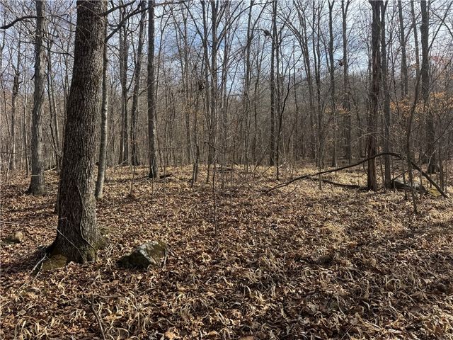 1906 Nc 8863, Jasper, AR 72641