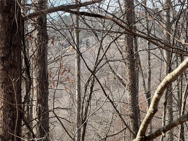 1906 Nc 8863, Jasper, AR 72641