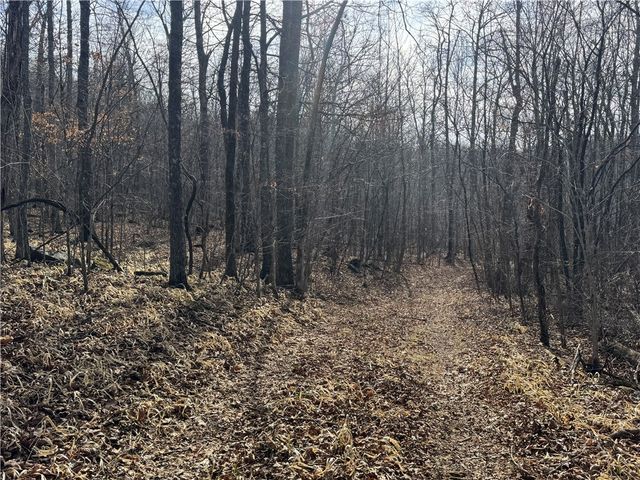 1906 Nc 8863, Jasper, AR 72641