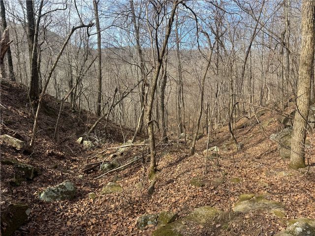 1906 Nc 8863, Jasper, AR 72641