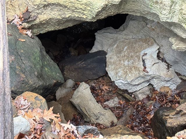 1906 Nc 8863, Jasper, AR 72641