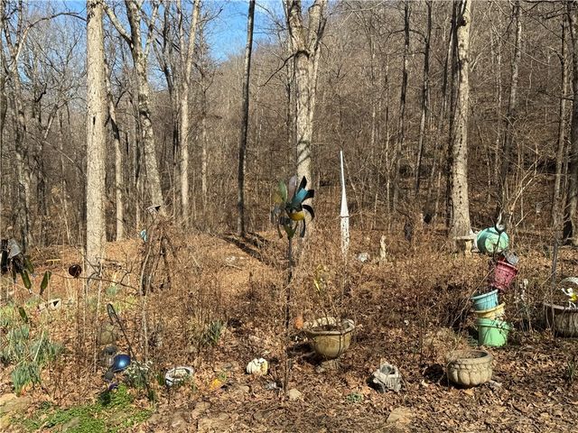 1906 Nc 8863, Jasper, AR 72641