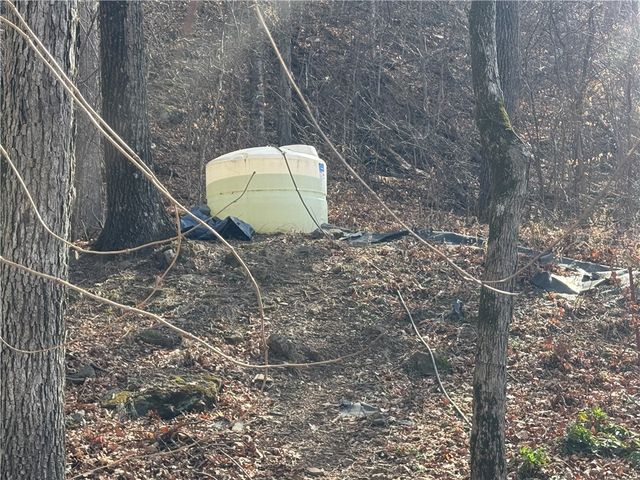 1906 Nc 8863, Jasper, AR 72641