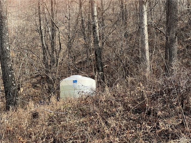 1906 Nc 8863, Jasper, AR 72641