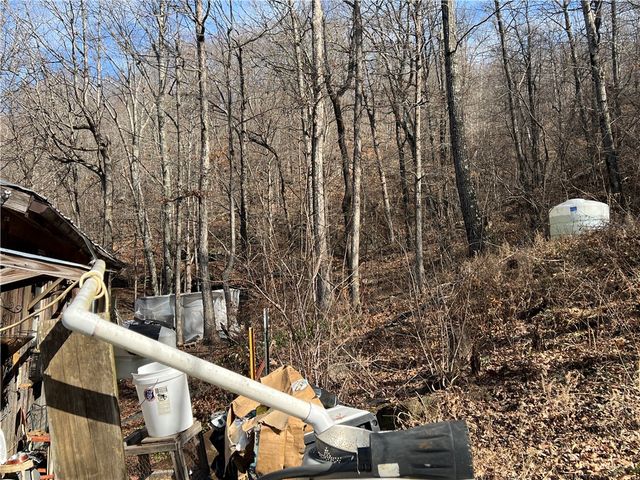 1906 Nc 8863, Jasper, AR 72641